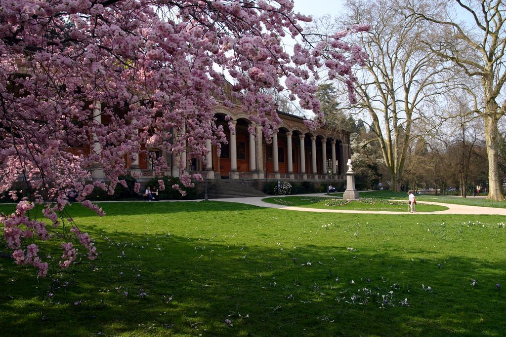 Apparthaus Pfeifer Baden-Baden Exterior foto